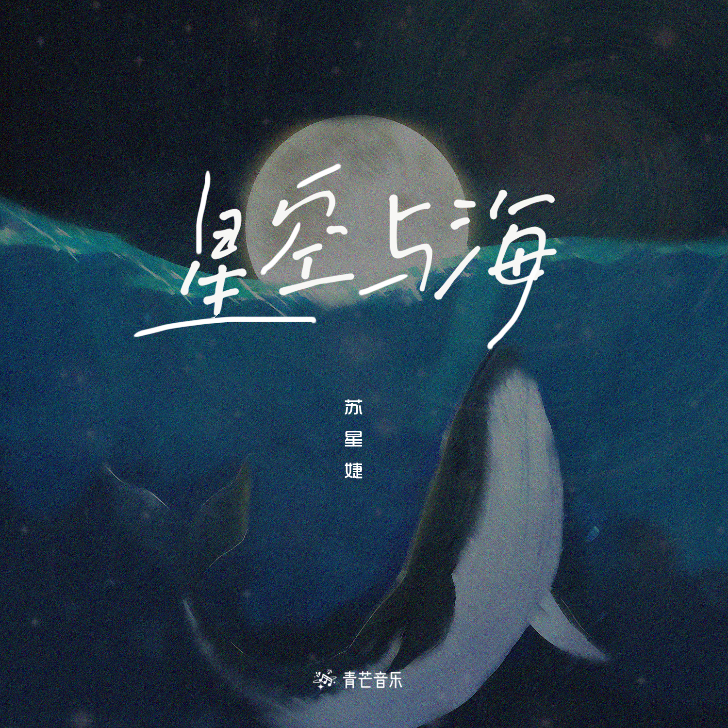 星空与海（伴奏）封面