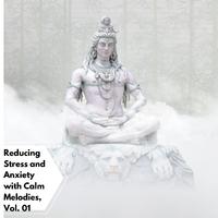 Reducing Stress And Anxiety With Calm Melodies, Vol. 01