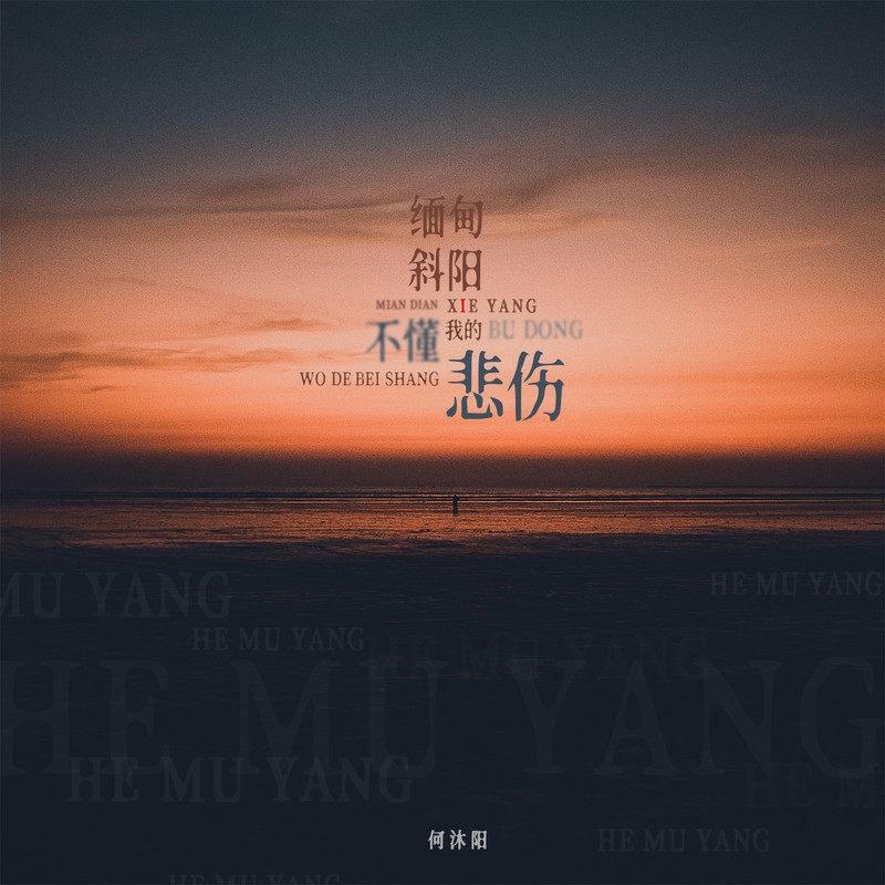 缅甸斜阳不懂我的悲伤封面