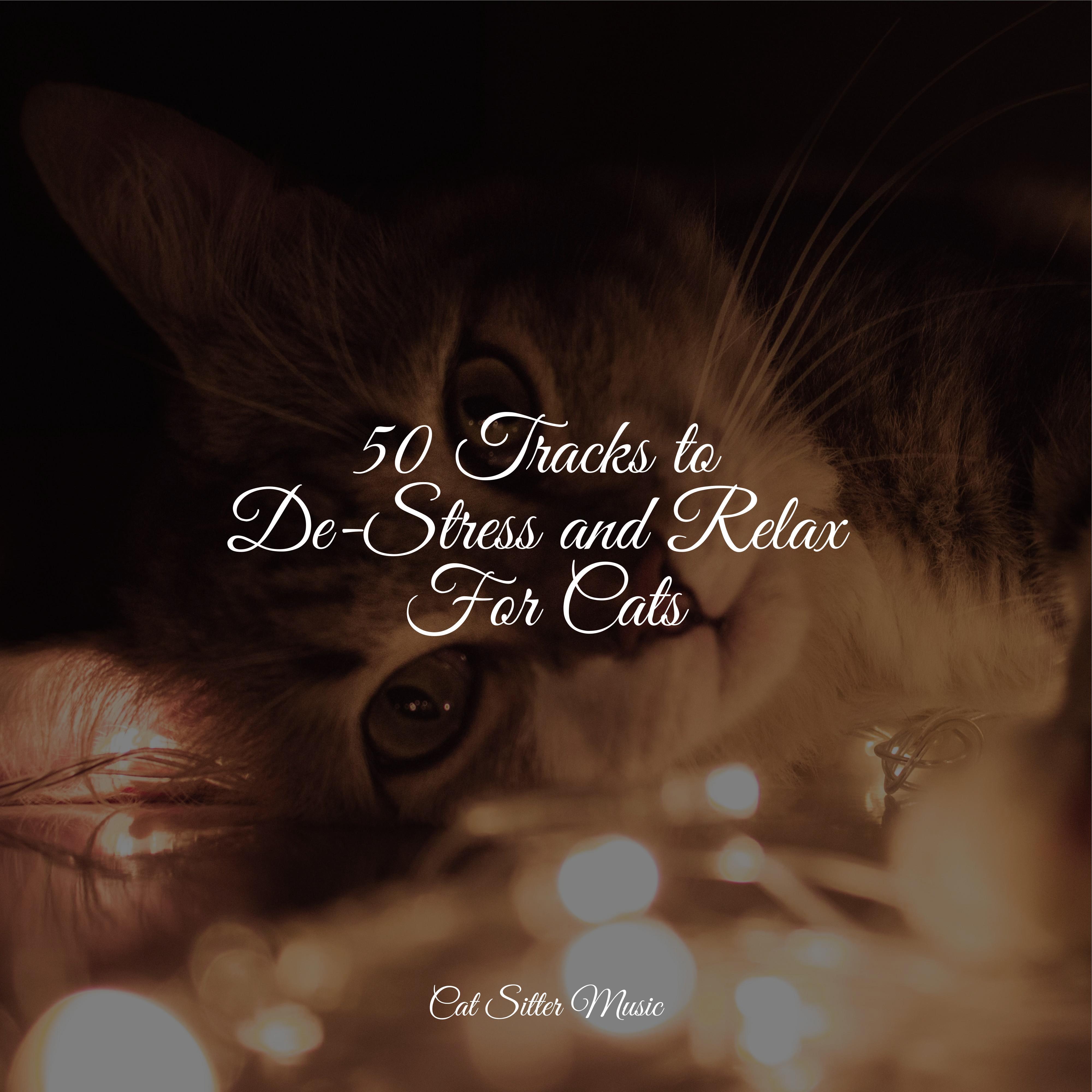 50 Tracks to DeStress and Relax For Cats Music for Pets Library 专辑