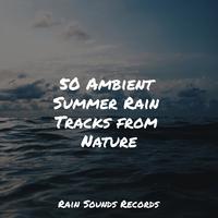 50 Ambient Summer Rain Tracks from Nature