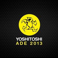 ********** ADE 2013