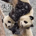 看看好河山 (DJ版)封面