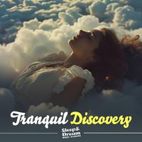 Tranquil Discovery