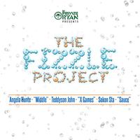 The Fizzle Project