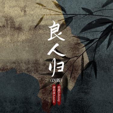 良人归（DJ铁柱版）封面