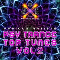 Psy Trance Top Tunes, Vol. 2