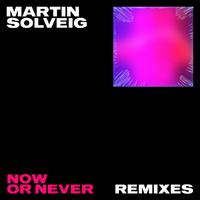 Now Or Never (Remixes)