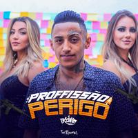 Profissão Perigo