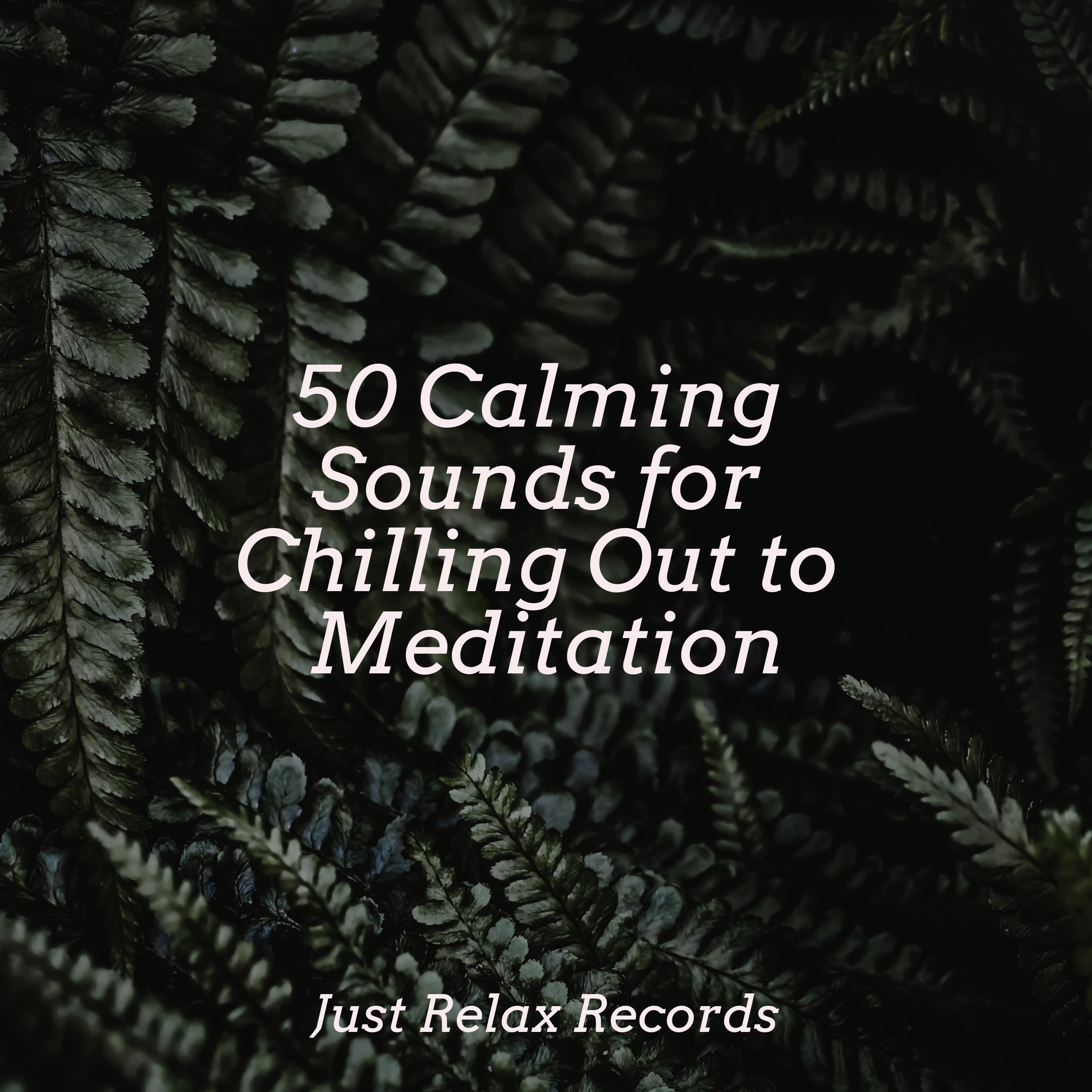 50 Calming Sounds for Chilling Out to Meditation - Deep Sleep ...