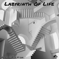 Labyrinth Of Life