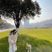 毛秋雪资料,毛秋雪最新歌曲,毛秋雪MV视频,毛秋雪音乐专辑,毛秋雪好听的歌