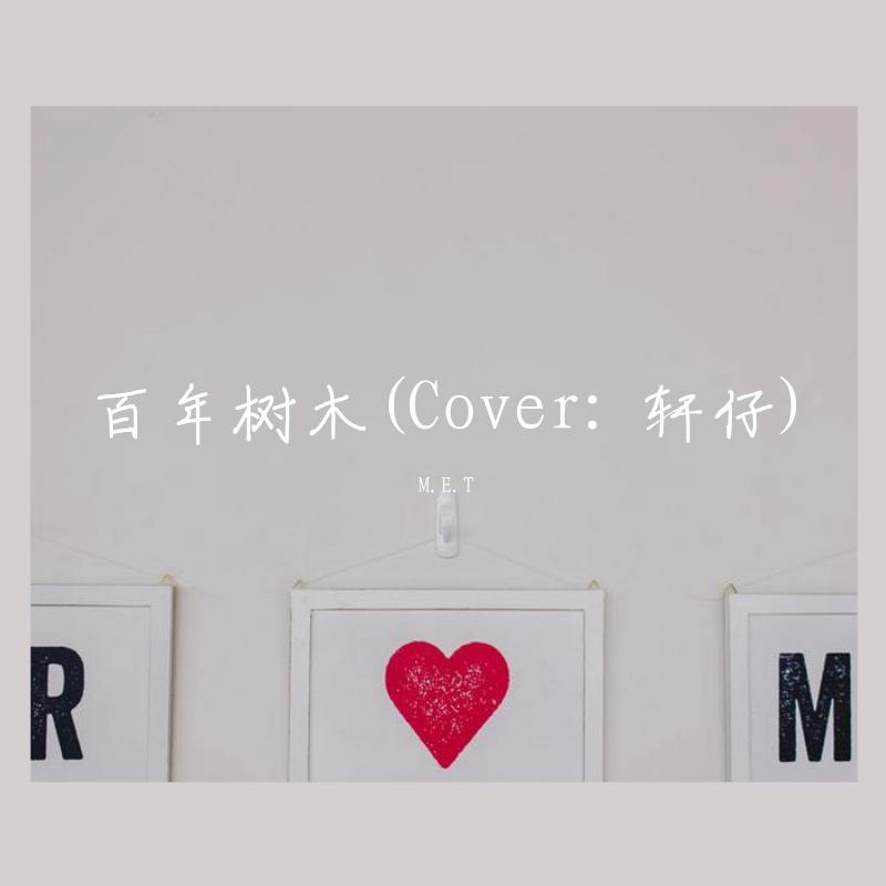 百年树木封面