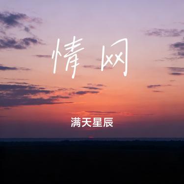 情网 (Cover 林咏诗)封面