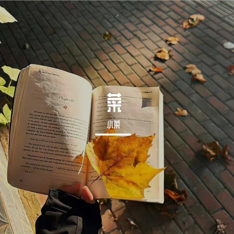 等风吹过封面