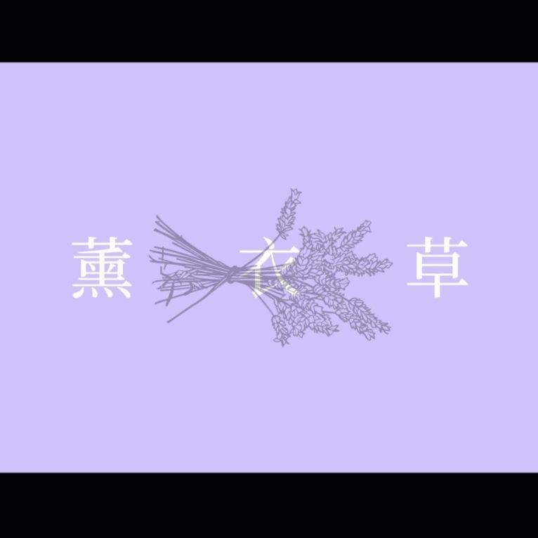 薰衣草 伴奏