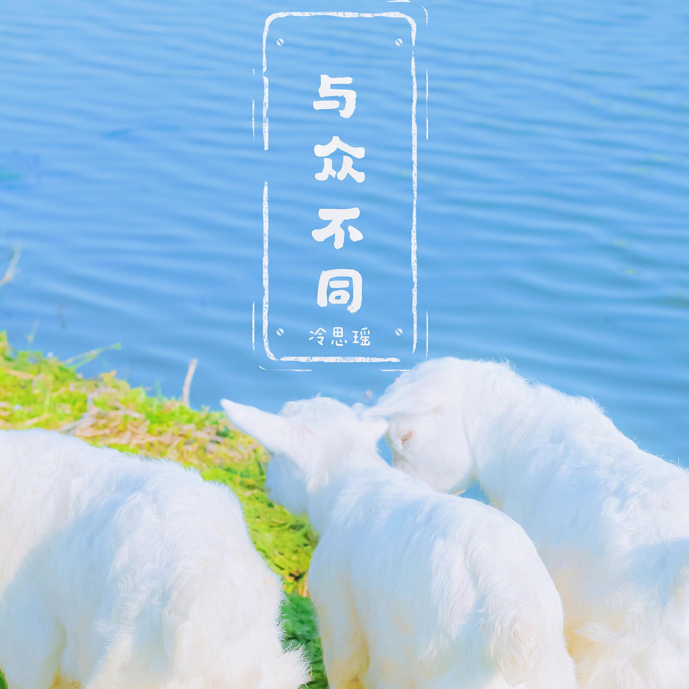 与众不同 - 冷思瑶封面