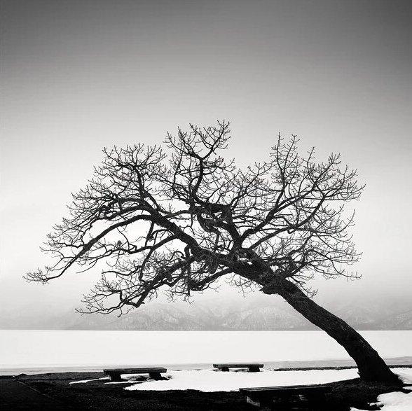 『 氛围极简钢琴 』灵魂独处与孤独升华