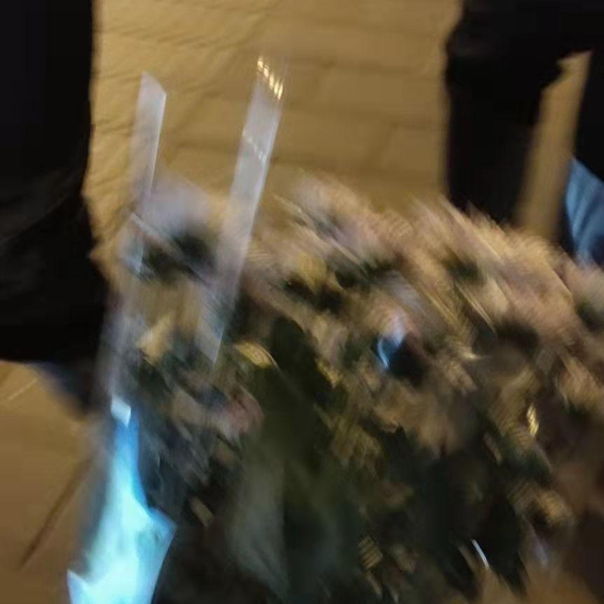 老男孩封面