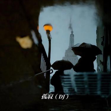 孤寂 (DJ)封面