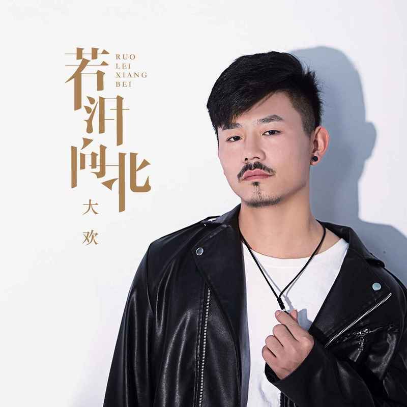 若泪向北 (伴奏)封面