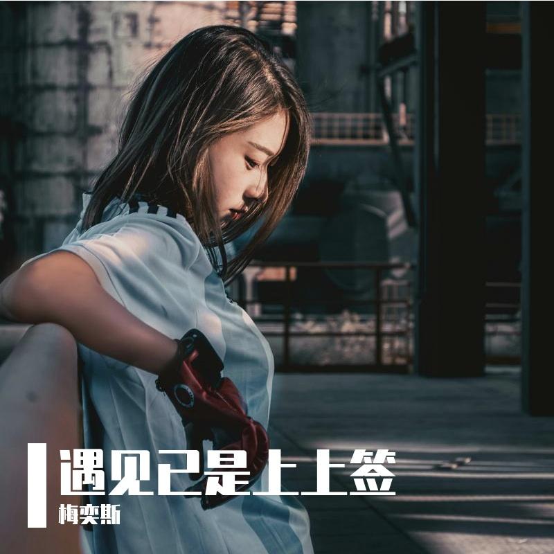 遇见已是上上签封面