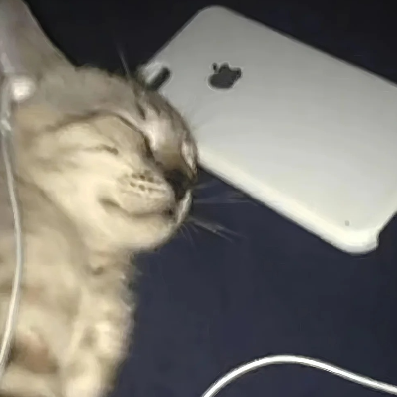 【神总是忧郁的】个人合集