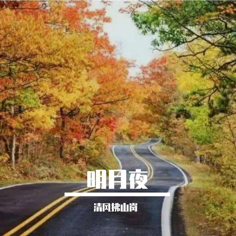 明月夜 伴奏 - 清风拂山岗、崔璨(虚拟歌手)封面