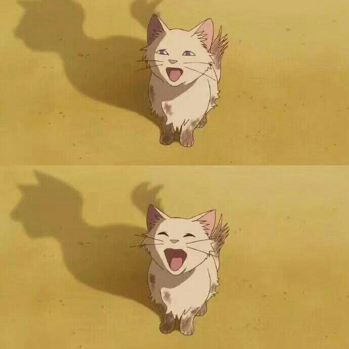 超级温柔的轻音乐 治愈您的不快乐