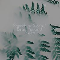 Sounds of Sleep | Beautiful and Sleep