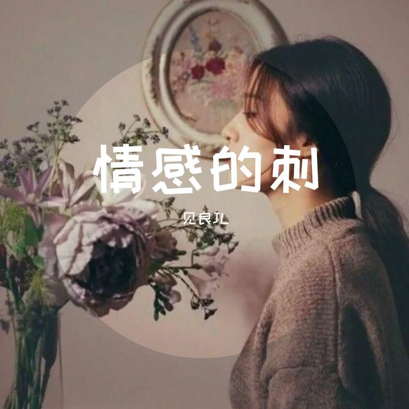 情感的刺封面