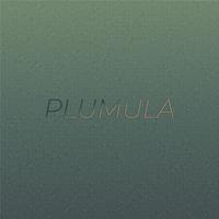 Plumula