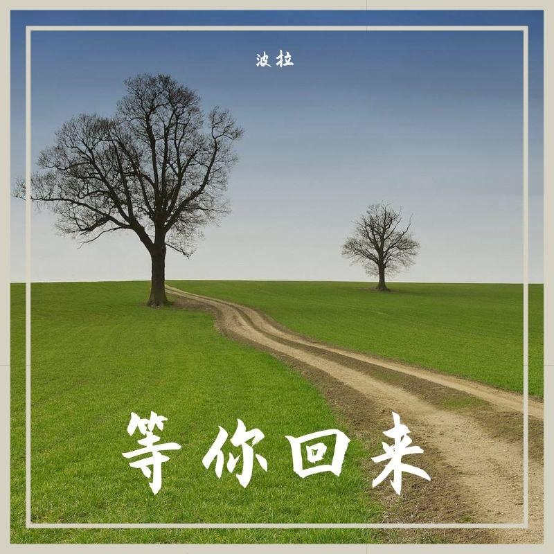 爱情在南我在北封面