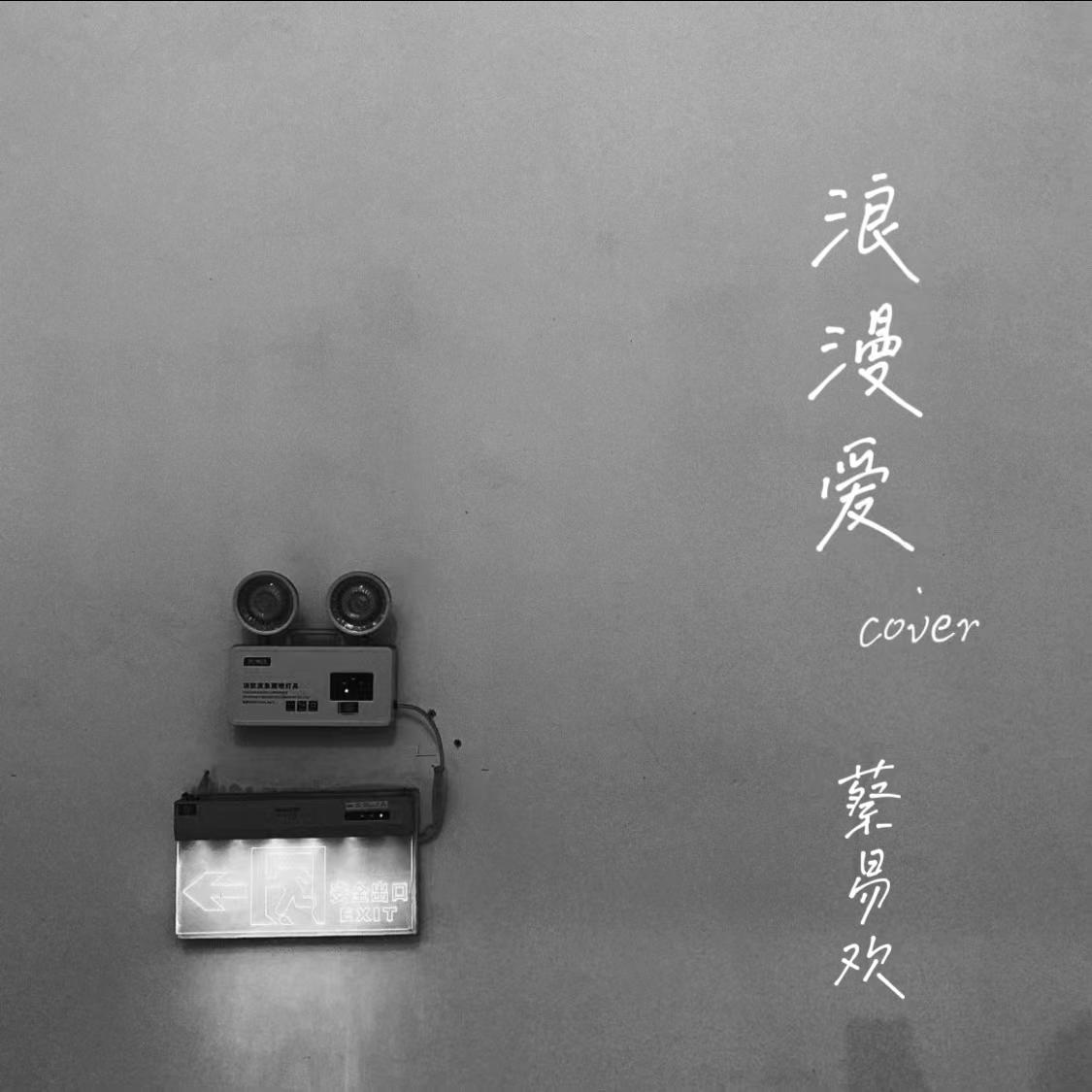 浪漫爱封面