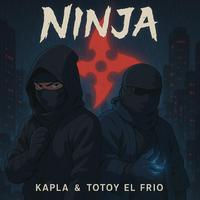 Ninja (feat. Totoy el frio)