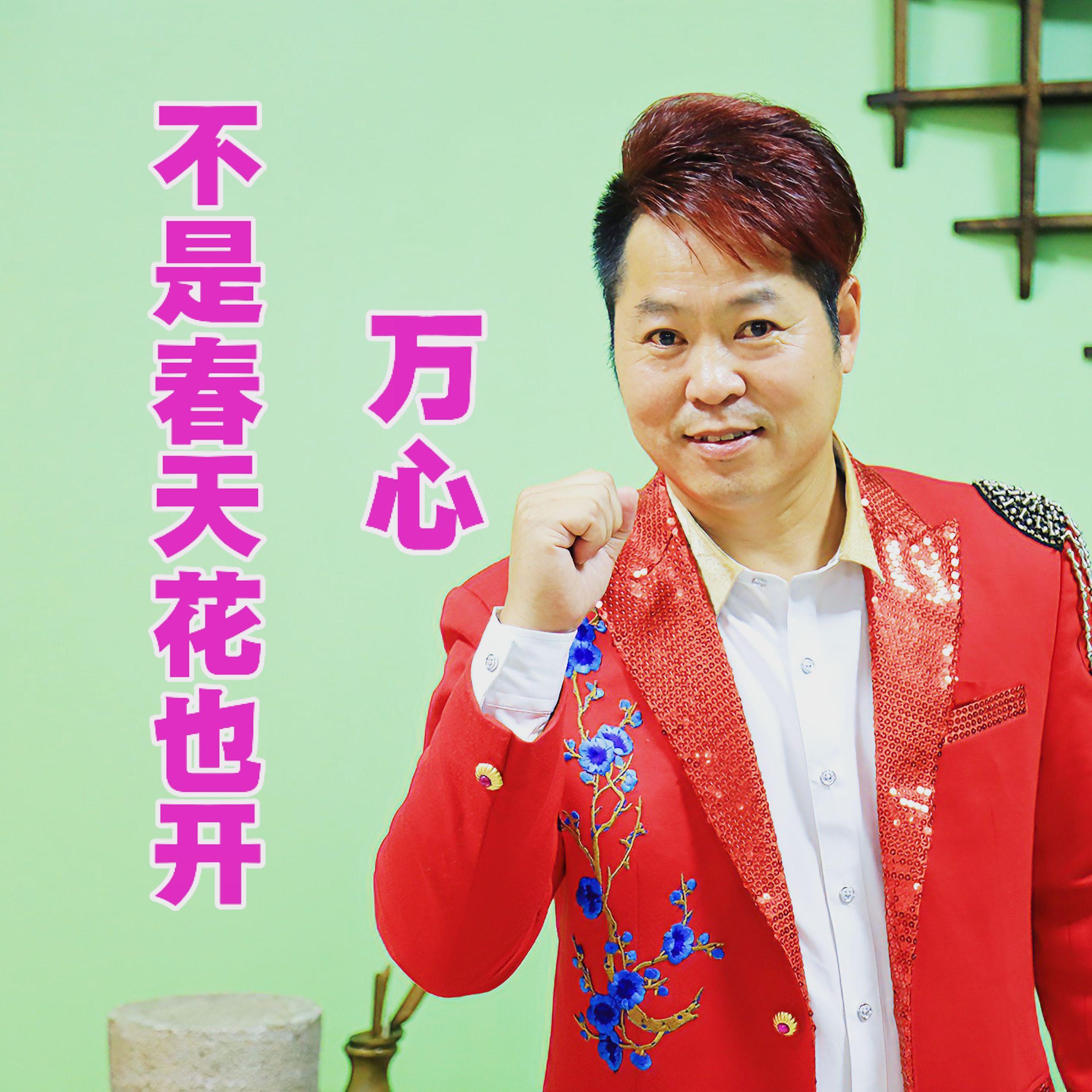 不是春天花也开封面