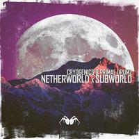 NetherWorld x SubWorld