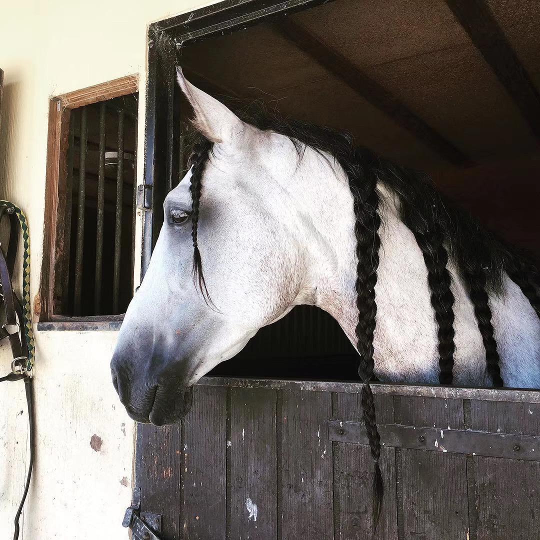 Неизвестен-Illenium - Takeaway Daniel Flash House Remix（音源 remix）