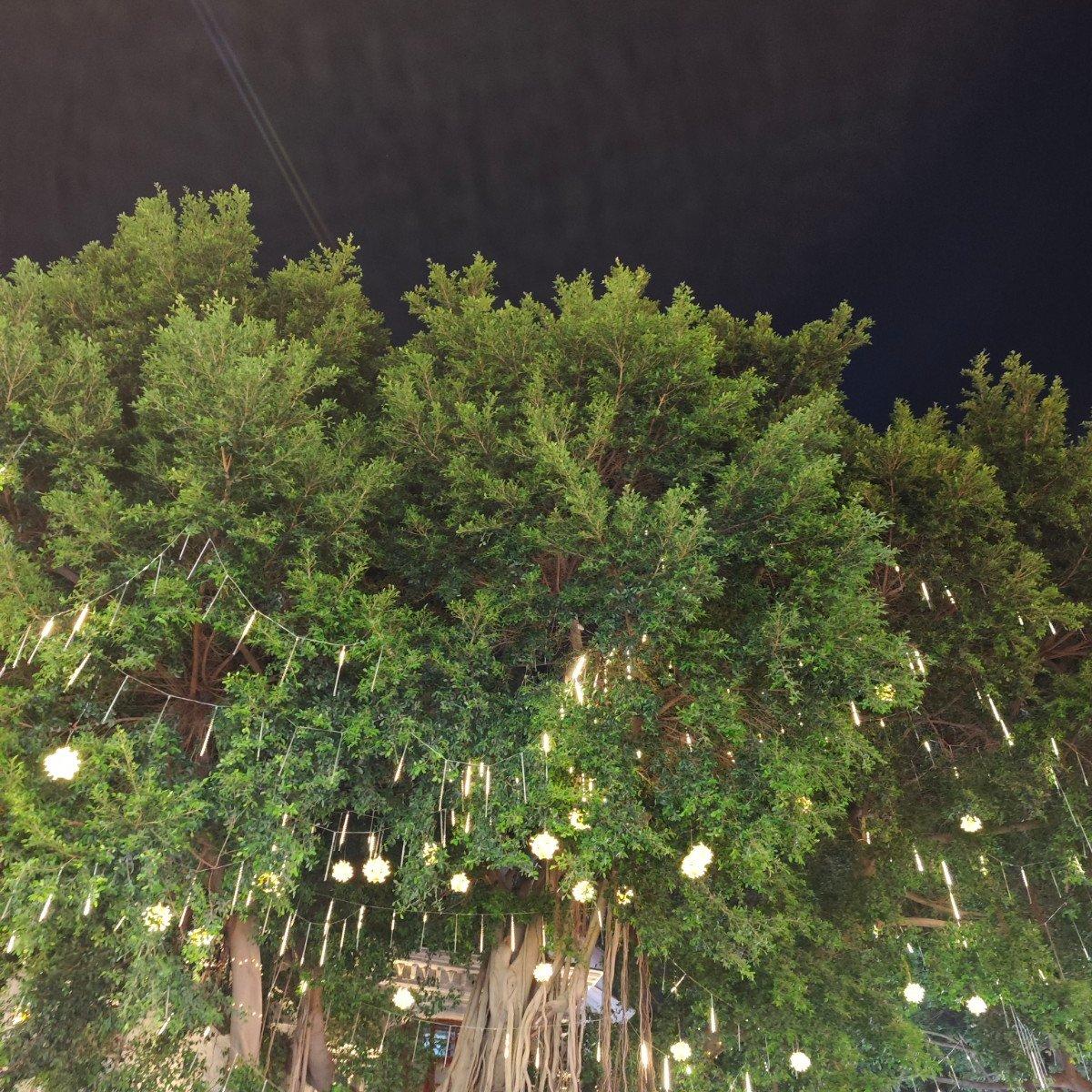 铁皮火车不停开_翻自蒋敦豪封面