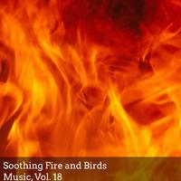 Soothing Fire and Birds Music, Vol. 18