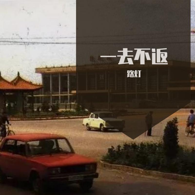 树洞封面