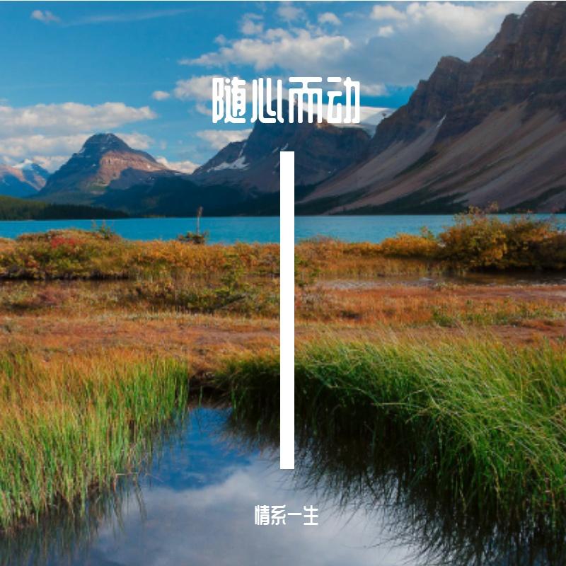 情感的禁区封面