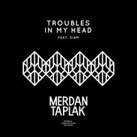 Troubles in My Head (feat. Siam)