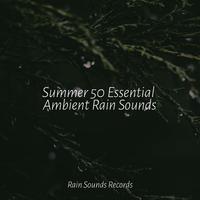 Summer 50 Essential Ambient Rain Sounds