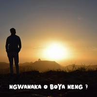 Ngwanaka (feat. Mosh T, KESLEY, Lavas Wa'Kasi, Master kid & August Nation)