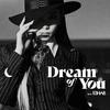 金请夏 - Dream of You (with R3HAB)