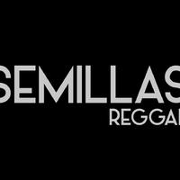 Semillas Reggae资料,Semillas Reggae最新歌曲,Semillas ReggaeMV视频,Semillas Reggae音乐专辑,Semillas Reggae好听的歌