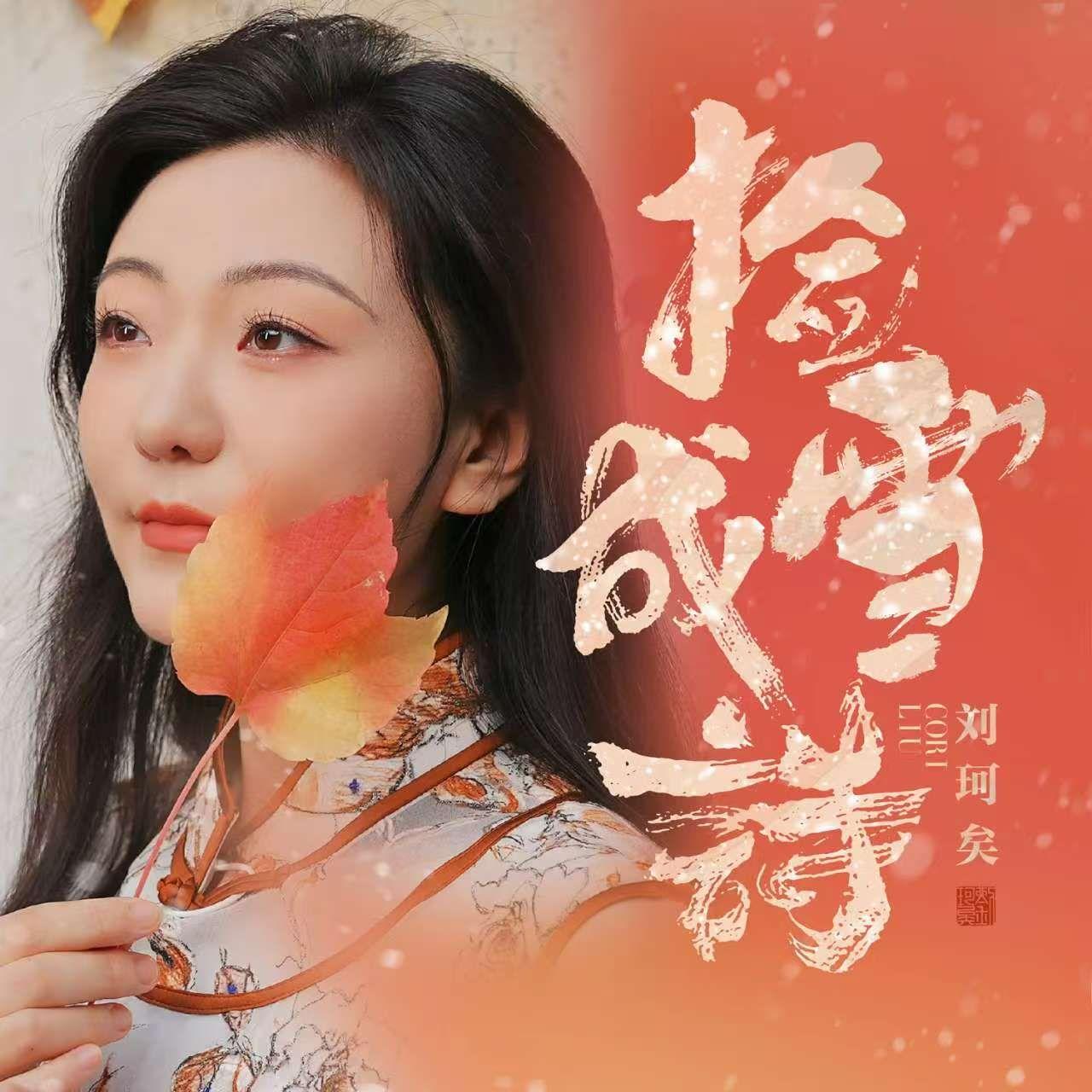 捡雪成诗（DJ版）封面