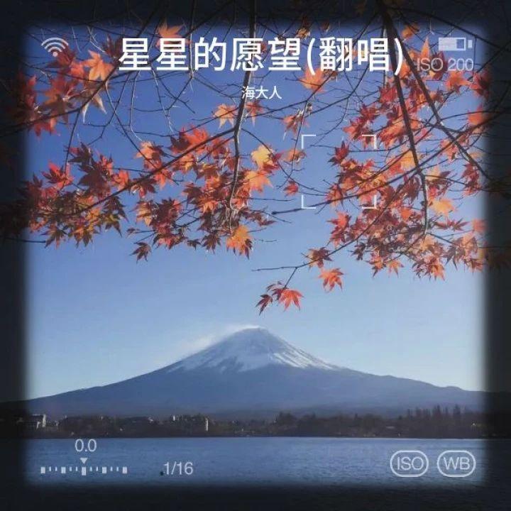 星星的愿望(翻唱)封面