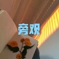 你不会封面